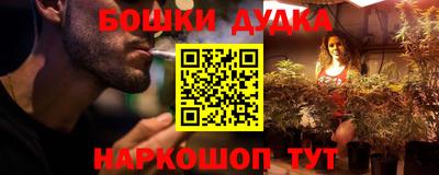 крисы Сланцы