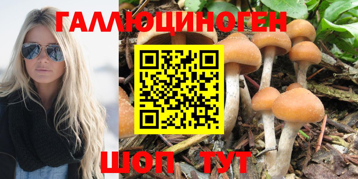 Псилоцибиновые грибы Cubensis  Псилоцибиновые грибы MAGIC MUSHROOMS  Вход с VPN  Павловский Посад 
