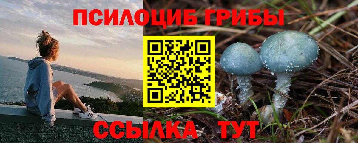 Галлюциногенные грибы MAGIC MUSHROOMS Павловский Посад